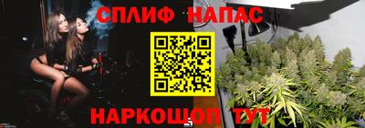 соль ск Новокубанск